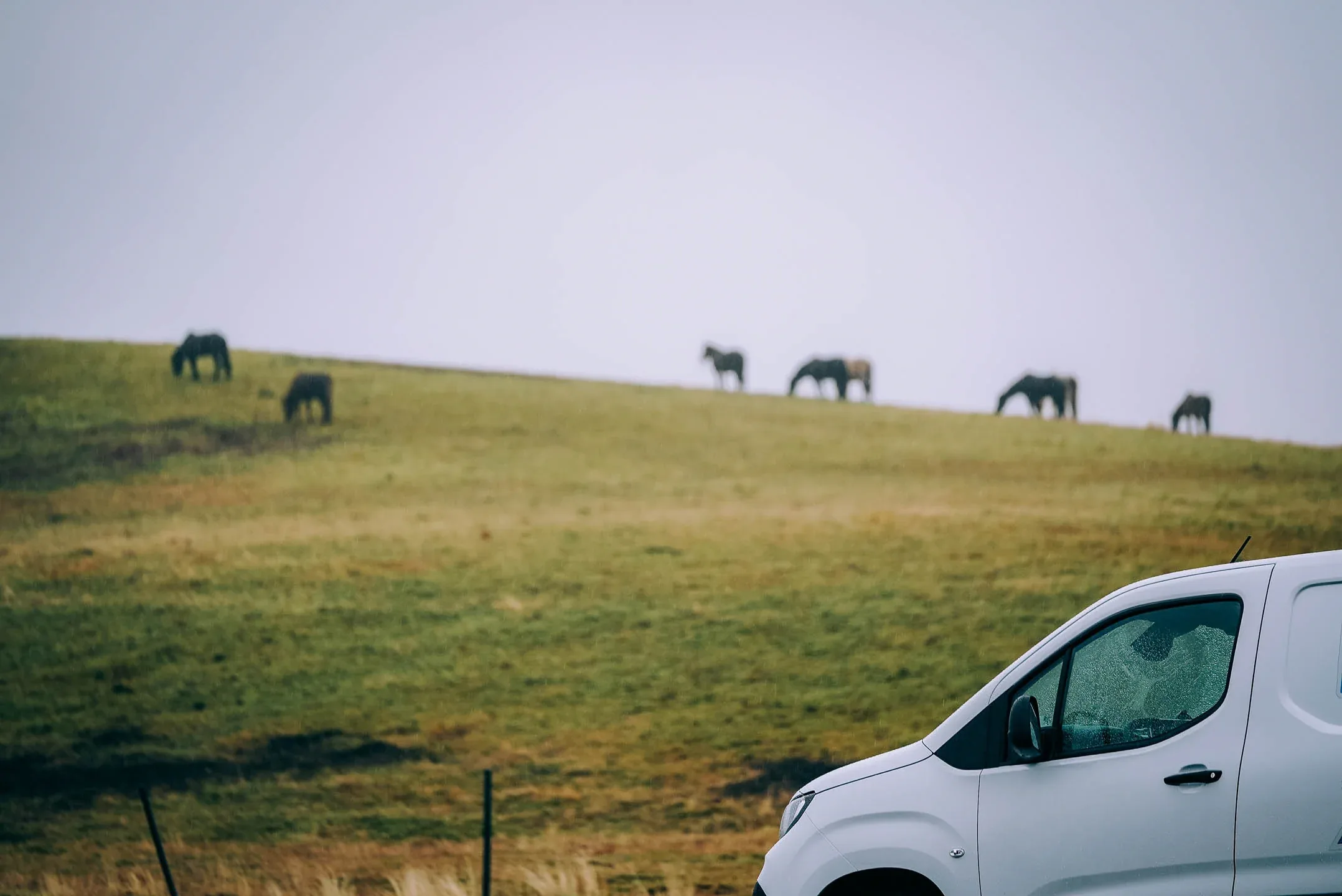 Campervan parked along a grassy hillside with Icelandic horses grazing in the background under a misty sky.