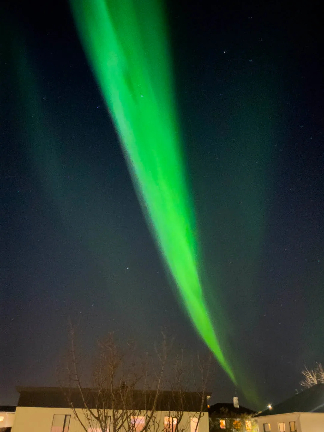 Vibrant green Northern Lights in Iceland glowing above leafless trees and a quiet residential home at night.
