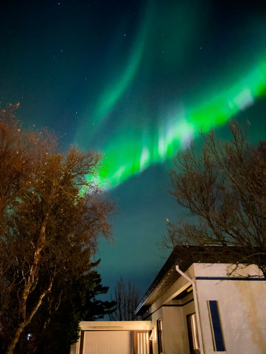 Bright green Northern Lights in Iceland glowing above residential houses and winter trees in a quiet neighborhood.