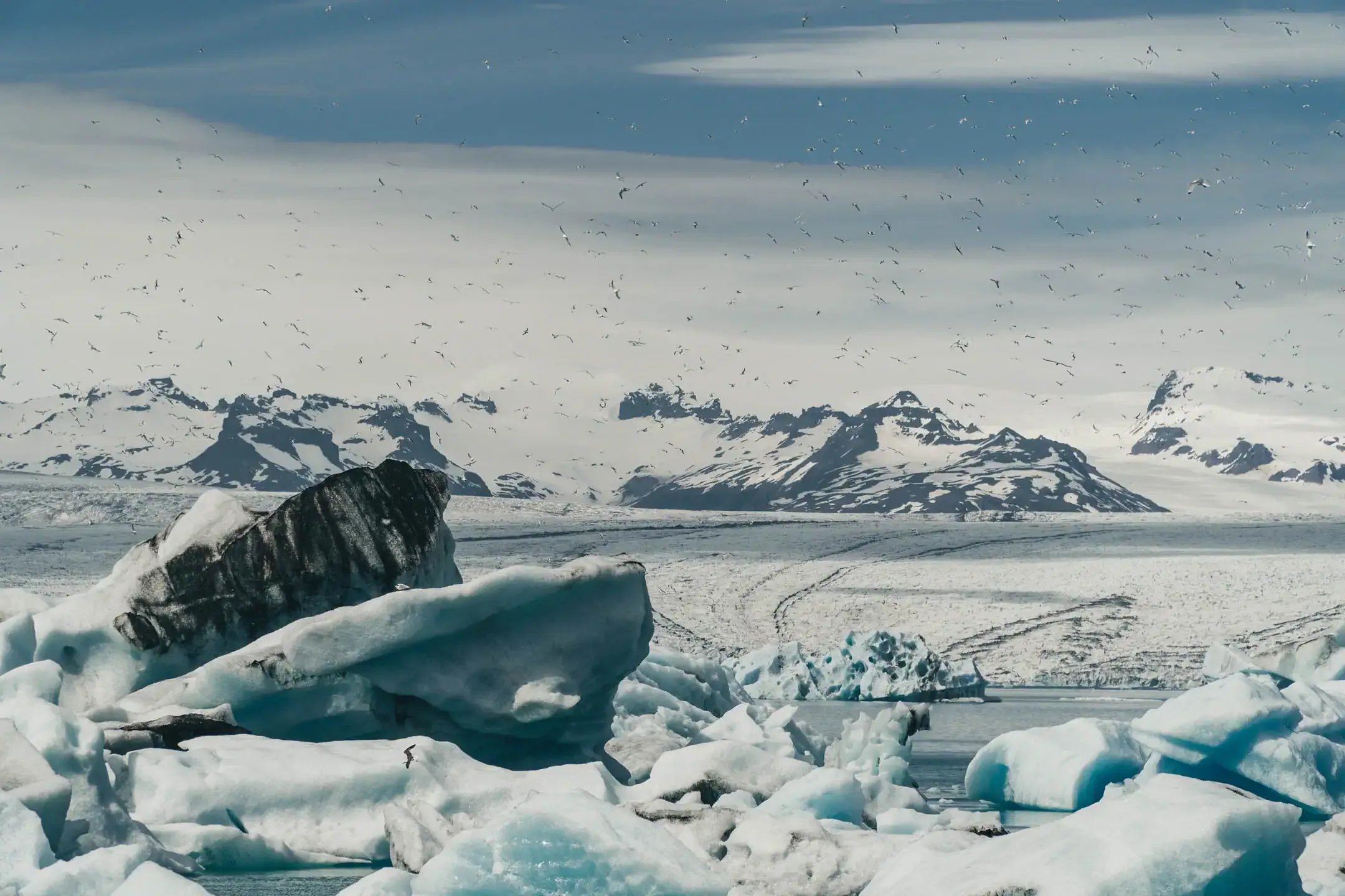 Jokulsarlon Glacier Lagoon in Iceland with floating icebergs seabirds and Vatnajokull glacier during summer road trip
