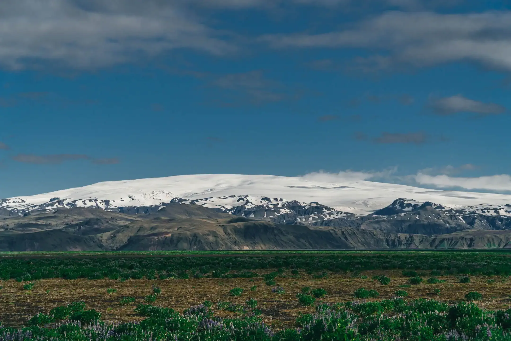 Green valley combine with snowy mountains on the backround, south of iceland views